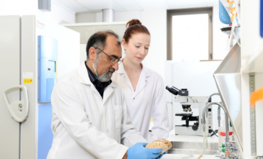 Research Images - 11